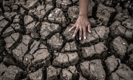 Crise Climática: Causas, Consequências e Impactos no Nordeste do Brasil