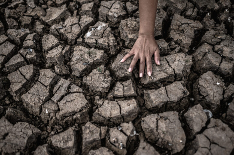 Crise Climática: Causas, Consequências e Impactos no Nordeste do Brasil