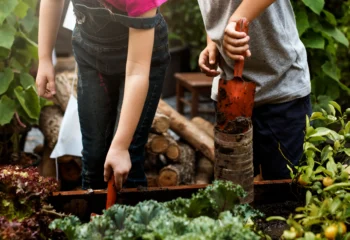 Como a educação ambiental transforma escolas, comunidades costeiras e o turismo