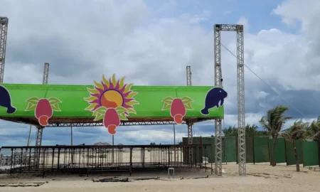 Carnaval e meio ambiente: festas no Piauí tem planejamento sustentável?