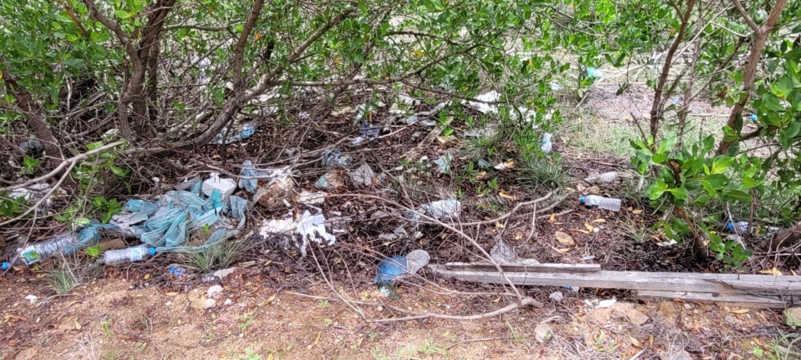 Garrafas de plásticos na margem de praia