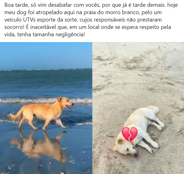 Print da divulgação do atropelamento no Facebook